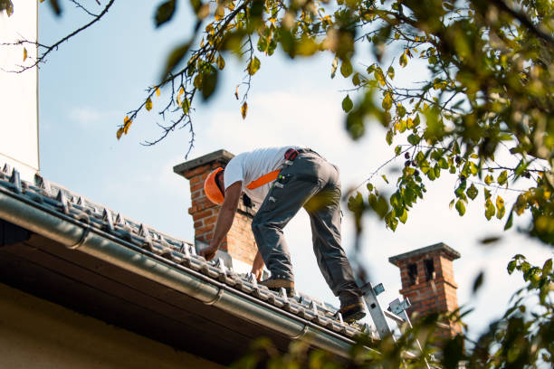 Gutter Replacement in Key Biscayne, FL